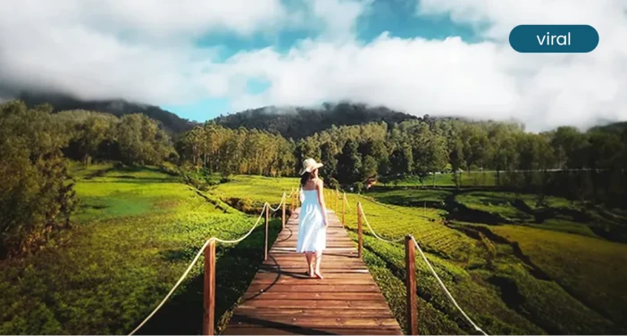 Destinasi Pangalengan